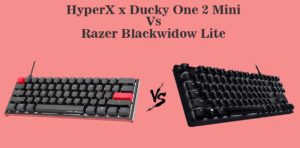 HyperX x Ducky One 2 Mini Vs Razer Blackwidow Lite
